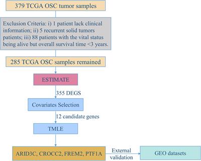 Identification of Tumor Microenvironment-Related Prognostic Biomarkers for Ovarian Serous Cancer 3-Year Mortality Using Targeted Maximum Likelihood Estimation: A TCGA Data Mining Study